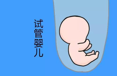 张医生